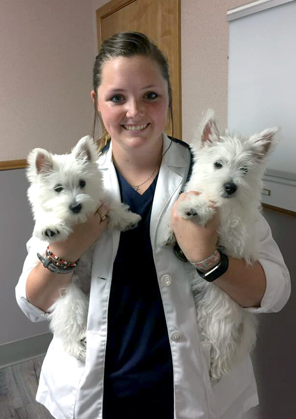 northwest pet clinic reviews