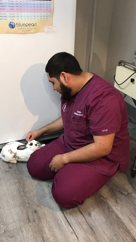 Tech with a Bunny Tech with a Bunny