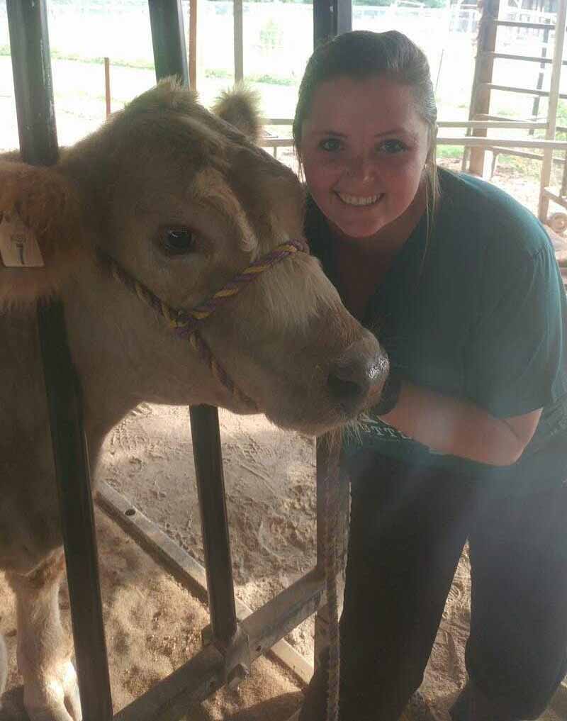 Veterinarian with Cow